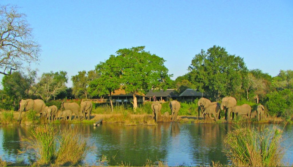 8 Nights of Unforgettable Luxury Safari: Sabi Sabi Safari, Cape Town Culture & Dubai Splendour from £5899pp 8 2e0ff3ba0ad436e0528980dd4a4f493b Louise and Scott at Hays Travel