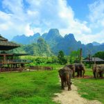 Elephant Hills