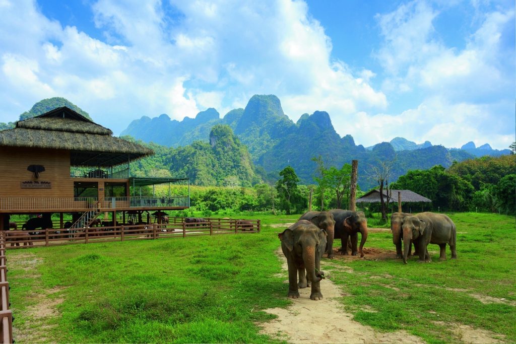 Phuket, Khao Lak & Elephant Hills 2-Night Jungle Safari – 15 Nights from £1,749 1 526956804 742866101798748 4682005388702157205 n 2 Louise and Scott at Hays Travel