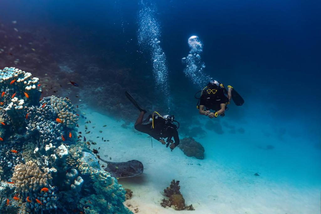 Amazing 40% off Heritance Aarah Maldives Holiday from £5199pp 3 527692472 1148563637305216 2559513490844738606 n 1 Louise and Scott at Hays Travel