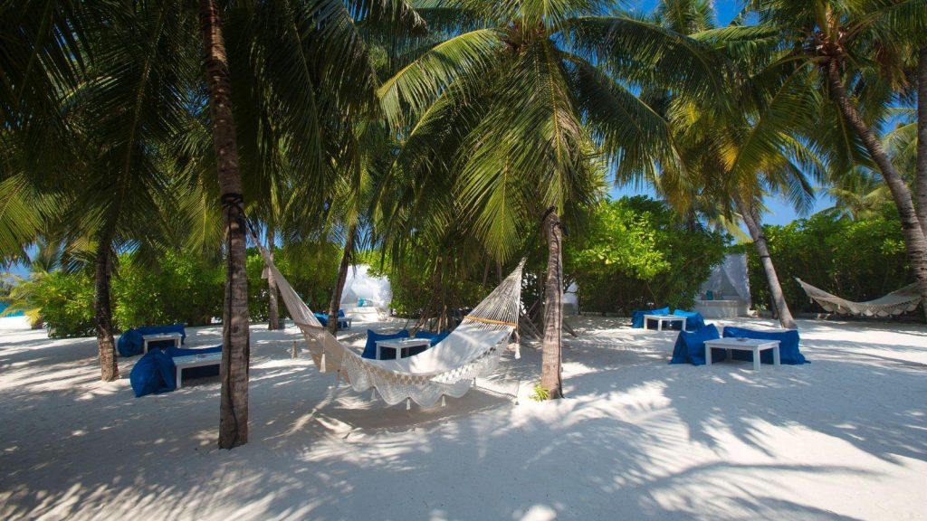 532912946 754626610622697 6616743767816339839 n Louise and Scott at Hays Travel