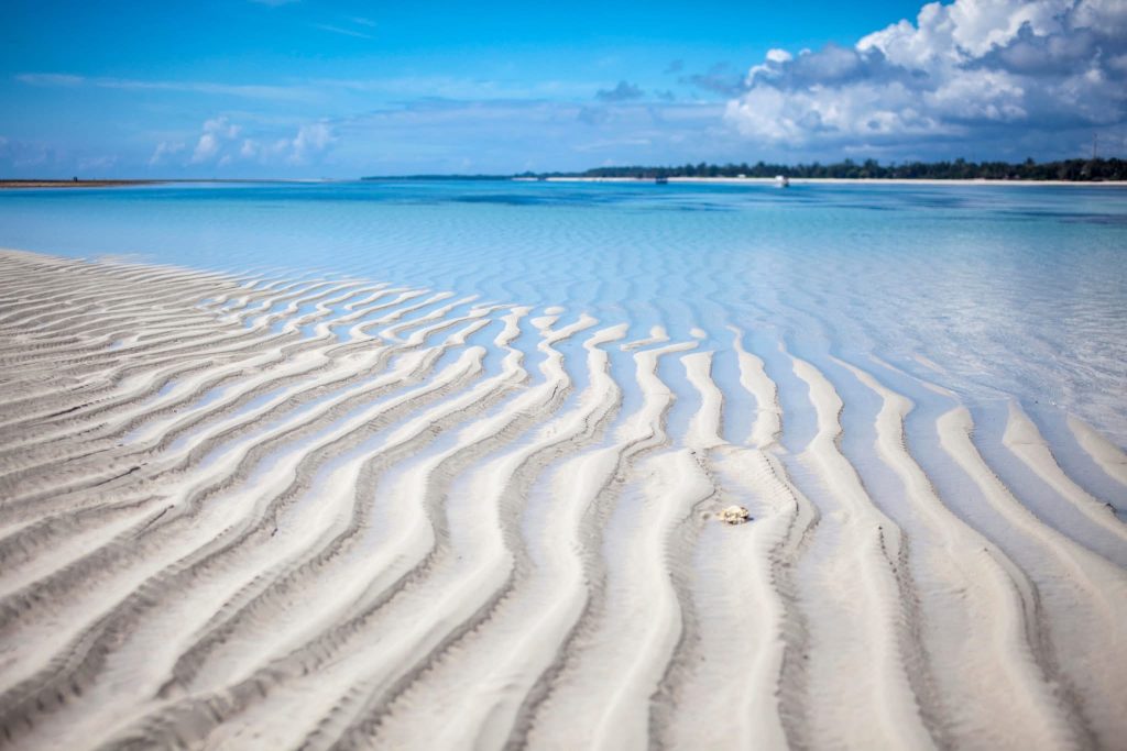 Your Dream Awaits: A 14-Night Luxury Kenyan Safari & Beach Escape (From £8,299 Per Person!) 5 539945600 2547991765553840 594993681510263056 n 1 Louise and Scott at Hays Travel