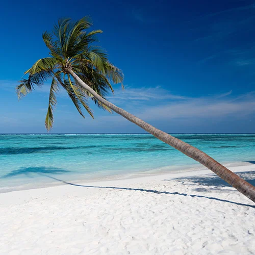MeeruBeach1 500x500 1 Louise and Scott at Hays Travel
