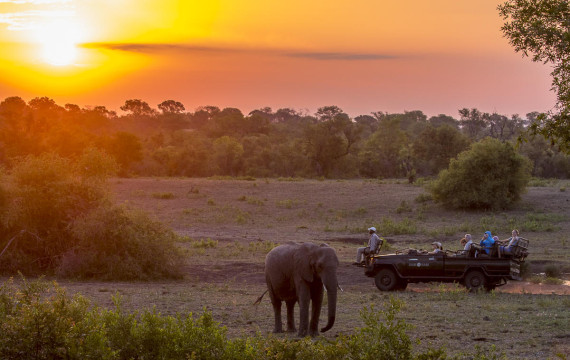 8 Nights of Unforgettable Luxury Safari: Sabi Sabi Safari, Cape Town Culture & Dubai Splendour from £5899pp 7 dpzcrop Louise and Scott at Hays Travel