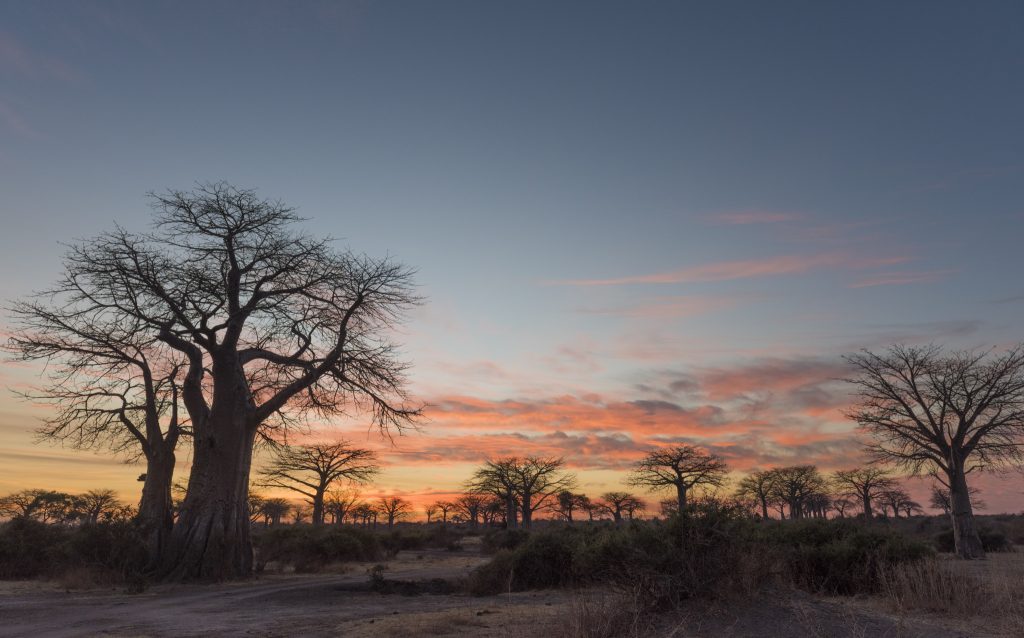 52a7cc59376e36d4025e5d6d9bc57ae6 1 Louise and Scott at Hays Travel