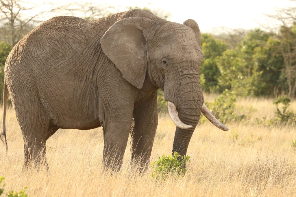 608123460 2668598280159854 6467972912266367231 n Louise and Scott at Hays Travel