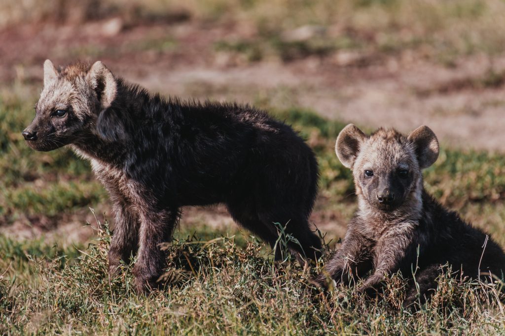 64cac83315d08194eb3d375d5577cf11 Louise and Scott at Hays Travel