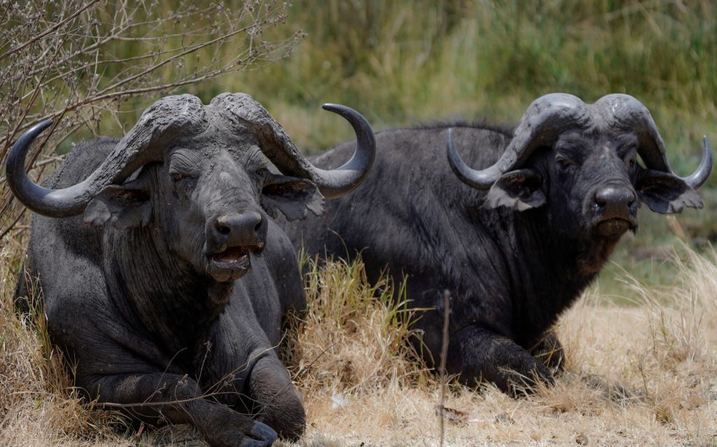 69d977fd22534d5fa7d89596424bba8b Louise and Scott at Hays Travel