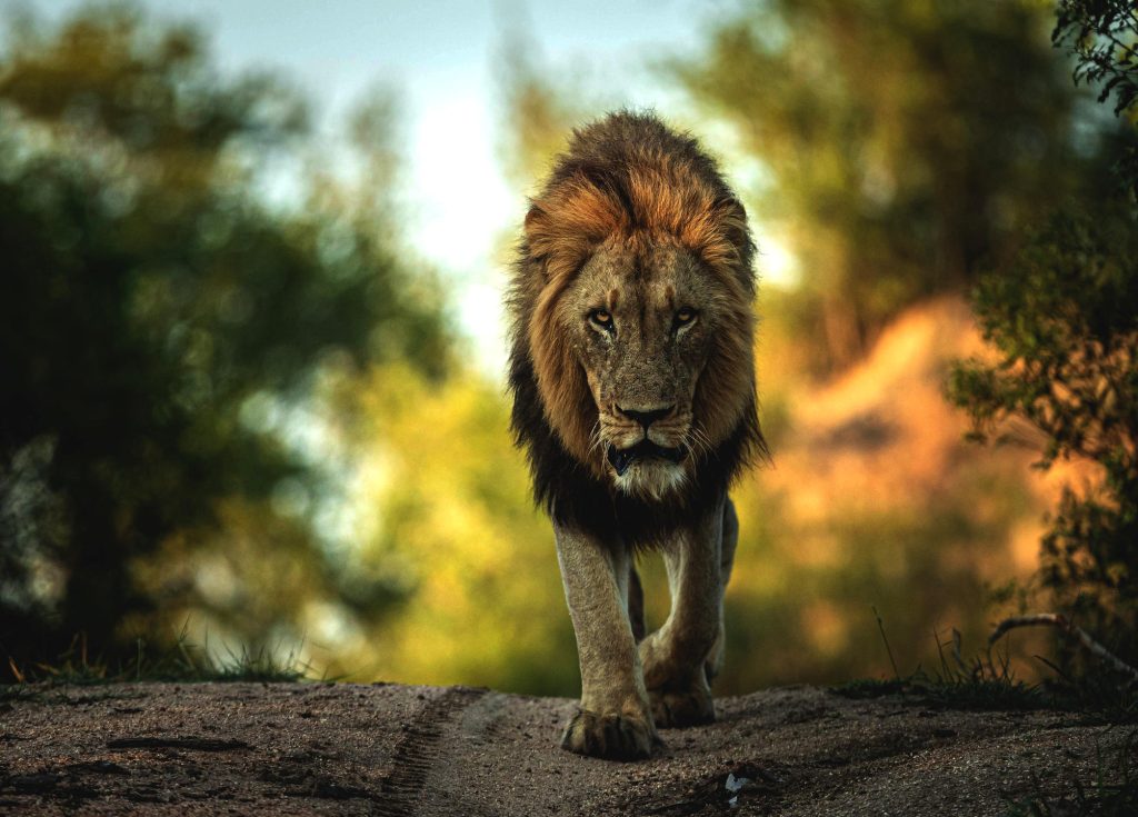 7dbc647cb4ec0c71ae8f58772edab954 1 Louise and Scott at Hays Travel