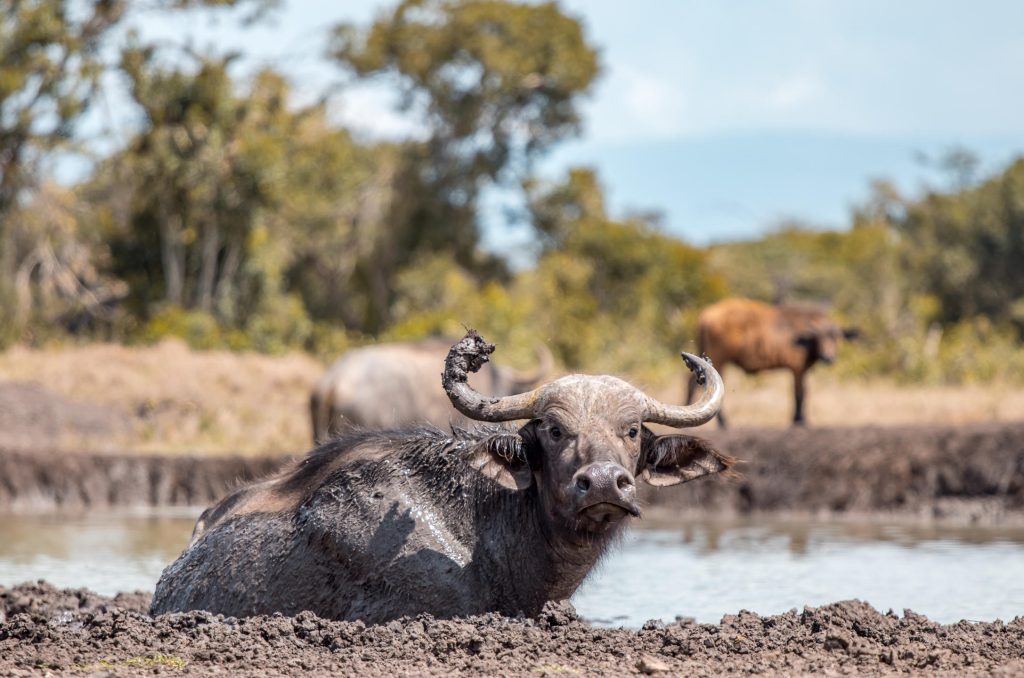 a139c74b973e6195e2ee76be18d25418 Louise and Scott at Hays Travel