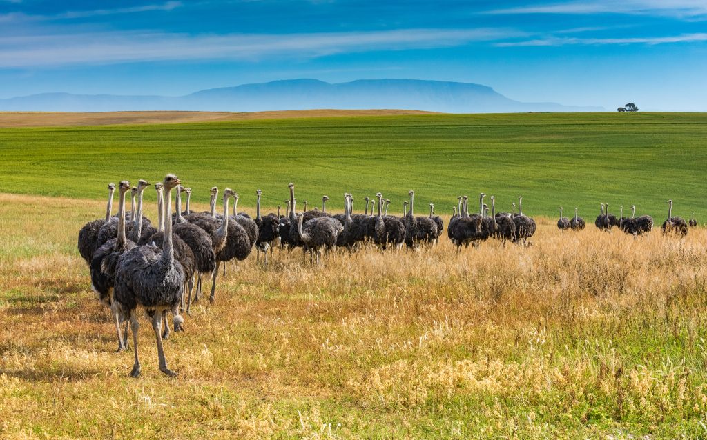 d240d29a63b0be6b78fe74e2c9aba240 Louise and Scott at Hays Travel
