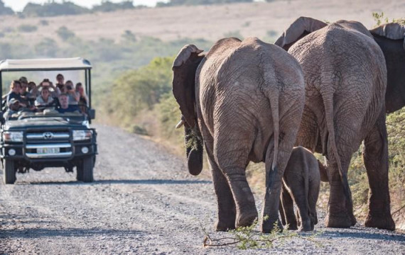 dpzcrop 3 Louise and Scott at Hays Travel