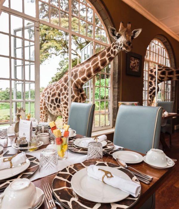 Giraffe Manor
