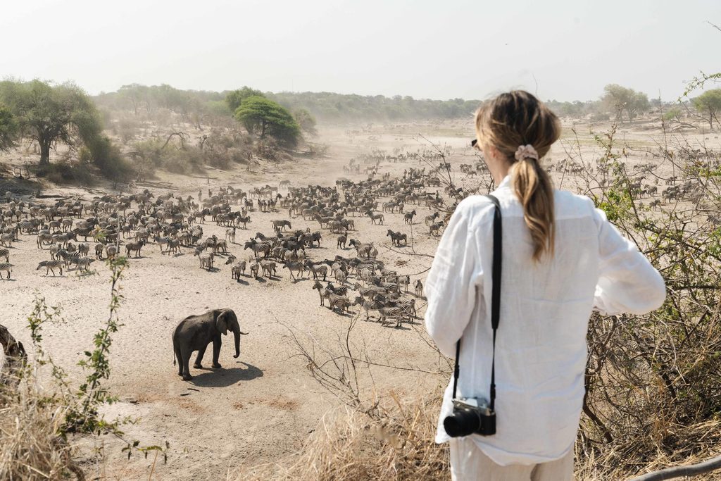 Botswana Zambia Luxury Flying Safari from £7899 15 01a8769c4376f111b1b99f92b336f844 Louise and Scott at Hays Travel