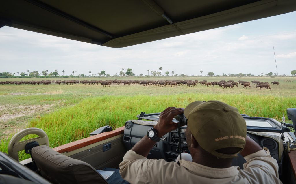 Botswana Zambia Luxury Flying Safari from £7899 10 ad387baca978a7f93eea3e726a26fcd1 Louise and Scott at Hays Travel